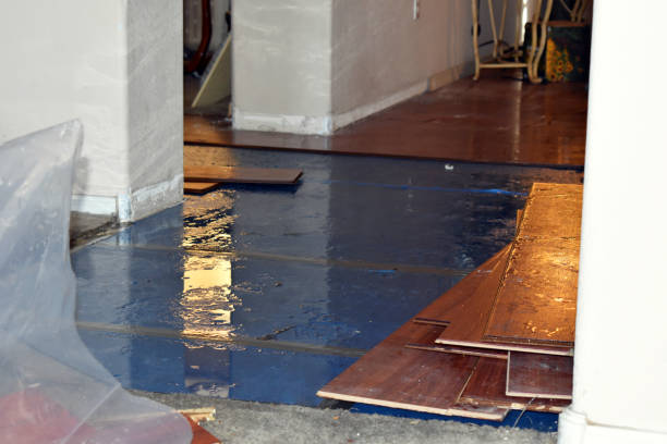Professional Water Damage technician working in Cropwell, AL