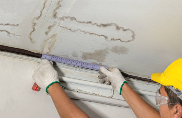 Reliable Water Damage contractor in Cropwell, AL by Water Damage Irwin